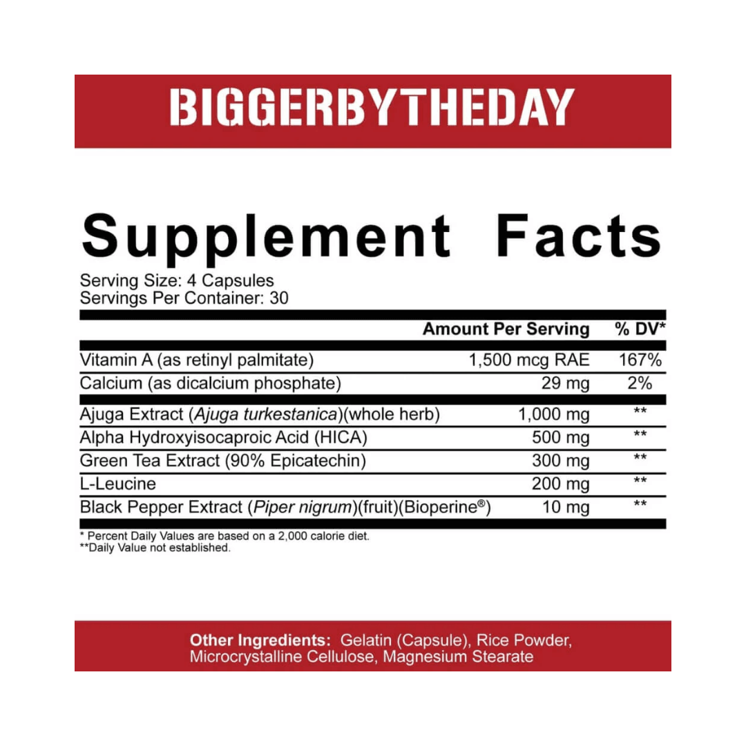 Bigger By The Day 5% Nutrition Rich Piana | Sarms